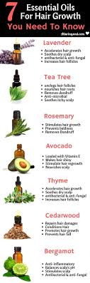 Rosemary oil is beneficial to hair growth and hair health for many reasons: Apply These Essential Oils For Hair Growth Prevent Hair Fall And Get Shiny And Long Hair Essential Oils For Hair Prevent Hair Fall Essential Oil Hair Growth