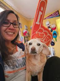 Chihuahua watches Broncos game under blanket