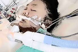 Fundraiser by Kristen Cruz : Amelia Quinn