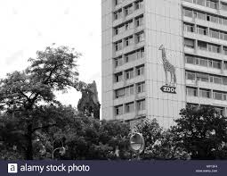 Station Forecourt With Bus Station High Resolution Stock Photography And Images Alamy