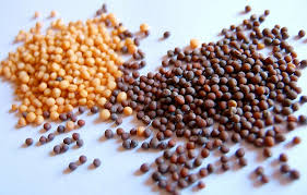 Mustard seed contains no cholesterol, only trace amounts of vegetable fat, and about 25 percent protein. Thoughts On The Parable Of The Mustard Seed The Simple Dollar