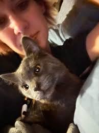 He's missing from Brook Knoll.