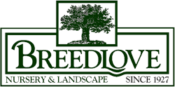 We've worked with various yards and properties around by broadway ave near the children's park of tyler. Landscaping Tyler Tx Landscape Architecture Design Breedlove