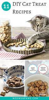 Your Cat Will Love These Simple Diy Cat Treats Homemade Cat Treat Recipes From Basic Ones To More Compl Homemade Cat Food Diy Cat Treats Cat Treats Homemade