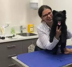clyde veterinary hospital vets in