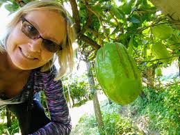 Santa Maria del Cedro and the Precious Diamante Citron
