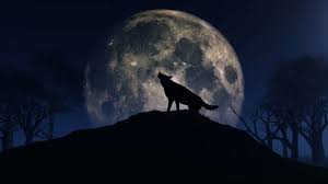 The cancer full wolf moon lunar eclipse is an optimal moment each year for honoring your primary nurturer. Facts About Full Wolf Moon In Late January 2021 Knowinsiders