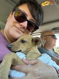 Just started a new island if anyone is willing to donate anything please  come