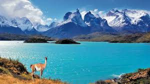 Todas las noticias sobre chile publicadas en el país. Australia Pacific Travelservice Chile