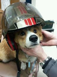 Safety First