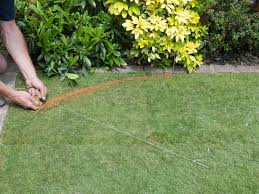 There is no harm in cutting tree roots. Trimming Sod Around Trees There S No Need For Difficulty