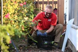 You can also use the form below for any inquiries about pest control services, termite control, and scheduling an appointment with us. Best Pest Control In Concord Nc Mapquest
