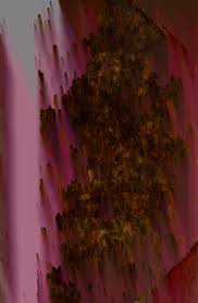 Image result for Isonema infundibuliflorum