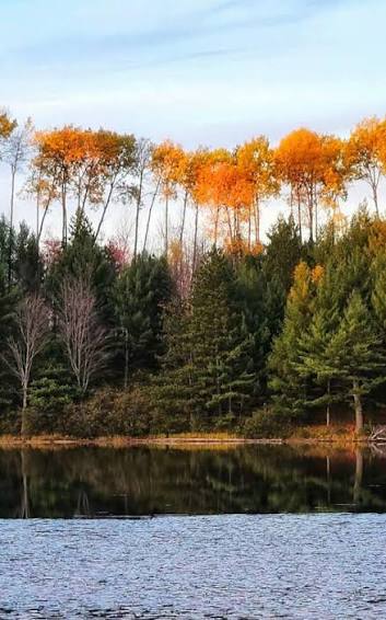 Plan Your Ultimate Fall Visit | Upper Peninsula | Michigan's Upper  Peninsula Travel & Recreation Association