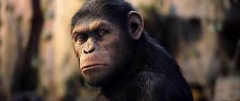نتیجه جستجوی لغت [apes] در گوگل