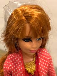 Barbie Midge life in dream house