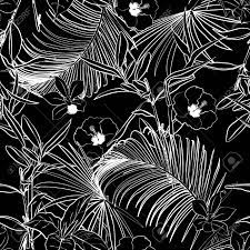 Background black outline white black background white background black white white outline outline background black outline decoration sketch decorative symbol element ornament decor. Black And White Outline Dark Forest Palm Trees And Tropical Royalty Free Cliparts Vectors And Stock Illustration Image 97684708