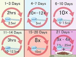 How To Feed A Newborn Kitten 15 Steps With Pictures Wikihow