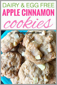Combine all ingredients in a mixing bowl. Apple Cinnamon Cookies Kids Love Dairy Egg Free Milk Allergy Mom