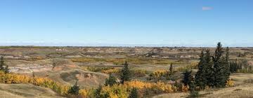 Obituary of Edwin Victor Ronald Mose