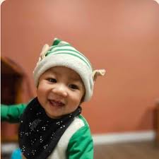 Discovering Daniel Workbook: Finding Our Hope in God's Prophetic Plan Amid  Global Chaos