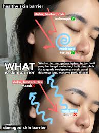Perjalanan Transformasi Skin Barrier: Dari Kulit Rusak Menjadi Sehat