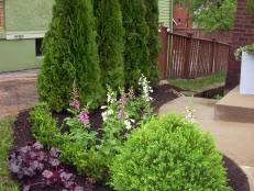 Crape myrtle is a versatile southern landscape shrub grown for its large trusses of long lasting flowers during the summer which resemble lilacs popular in cooler climates. Crape Myrtle How To Choose Prune And Care For Crape Myrtles Hgtv