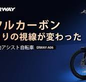 視線を釘付けにする一台 フルカーボン電動アシスト折りたたみ ...