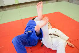 , n [lautm., nach den lauten von enten u. Yoko Gake Judohd