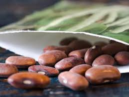 On this channel you can find how to grow fruit and vegetables to feed your family all year. The Seeds You Need To Plant In May For A Summer Garden