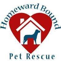 Check spelling or type a new query. Homeward Bound Pet Rescue Home Facebook