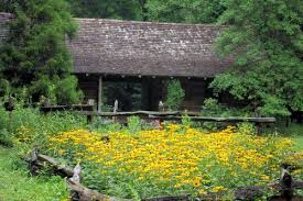 Retail store in asheville, north carolina. Top Seven Places To View Wildflowers Asheville N C