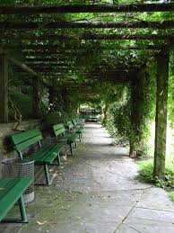 It is open daily without charge. File Bielefeld Botanischer Garten 4 Jpg Wikimedia Commons