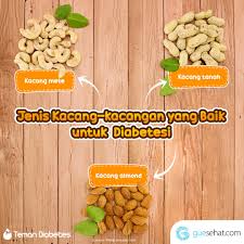 Check spelling or type a new query. Guesehat Nih Jenis Kacang Kacangan Yang Baik Untuk Facebook