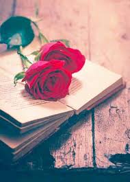 Pin By Jass Tamber On Nature Photography Flower Phone Wallpaper Red Roses Wallpaper Rose Wallpaper