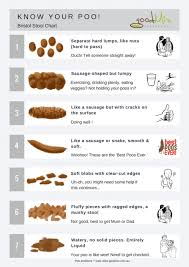 bristol stool chart a gutsy girl