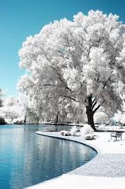Scenery snowfall at the morning. A Whole Lotta Love Scenery Beautiful Nature Beautiful Landscapes