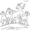 Disegni da colorare di halloween disegni da colorare di cavalli aggiungi qualche dettaglio come una sella o delle briglie. Https Encrypted Tbn0 Gstatic Com Images Q Tbn And9gcs0p9uqdj Njwcjo4u3x4dgrvbbqxygsubcvkcv0ivfkpf Mk90 Usqp Cau
