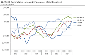 Cme Cattle On Feed Supplies Continue Increasing