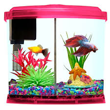 In this family daily vlog we take a trip. Top Fin Liquidy Split Aquarium 1 Gallon Fish Starter Kits Petsmart