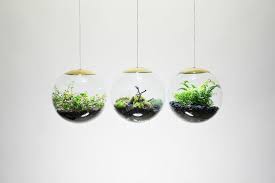 Pin On Terrariums