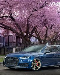 Image result for Scuba Blue 2016 A4