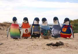 Maybe you would like to learn more about one of these? Knit For Nature 1 Chinadaily Com Cn