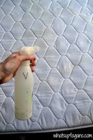 Learn four household remedies for handling the situation. How To Easily Remove Old Pee Stain And Smell From A Mattress