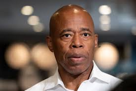 Brooklyn Bridge Park Conservancy Archives