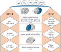 Recent Trends In Analytical Approaches For Detecting Neurotransmitters In Alzheimer S Disease Sciencedirect