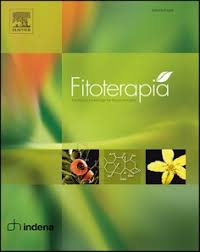 Image result for Ochna macrocalyx