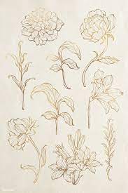 Download Premium Illustration Of Gold Floral Outline Set 2019696 Leaf Outline Flower Outline Line Art Flowers