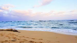 Oahu February Real Estate Market