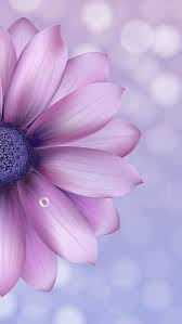 Flor Violeta Belleza Naturaleza Empapelado Floral Fondos De Pantalla Naturaleza Ideas De Fondos De Pantalla